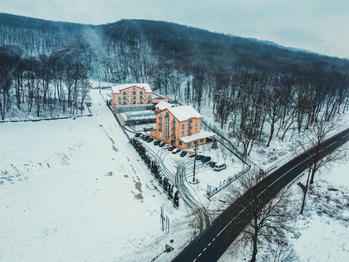 Metropol Băile Felix Exterior foto